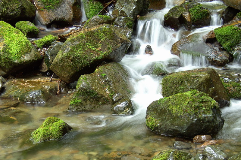 Flowing Water Vogesen