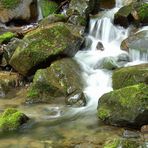 Flowing Water Vogesen