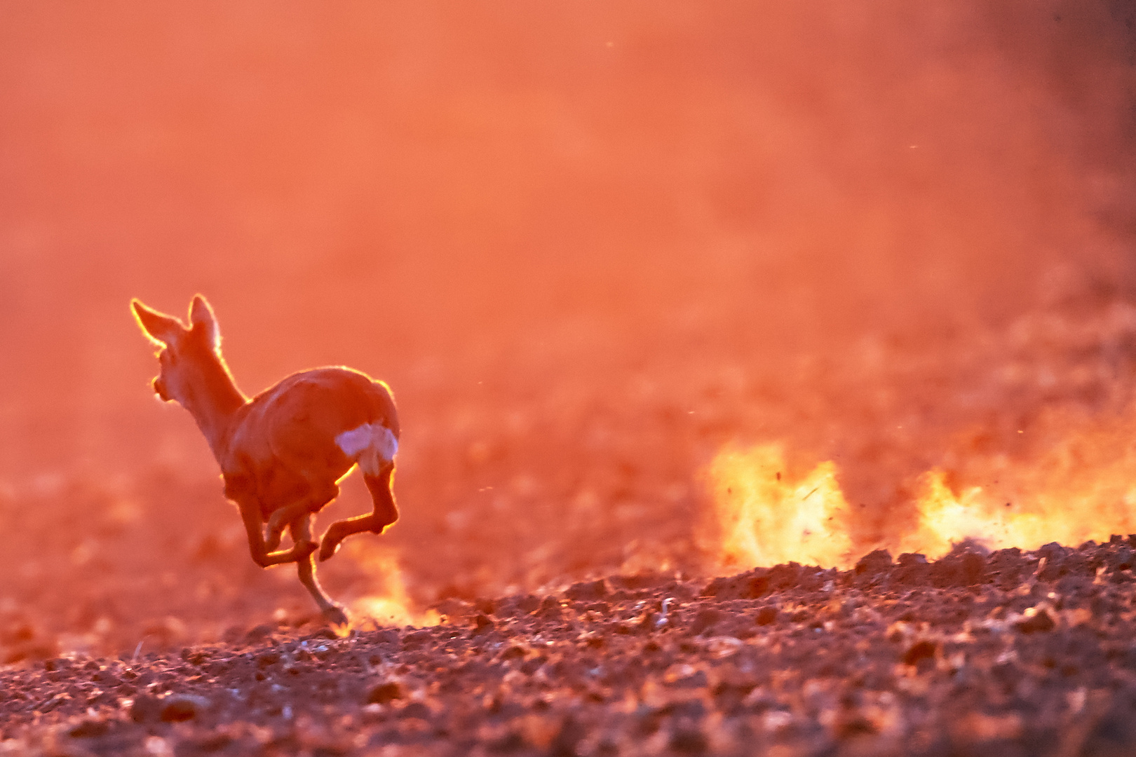 Flucht in den Sonnenaufgang