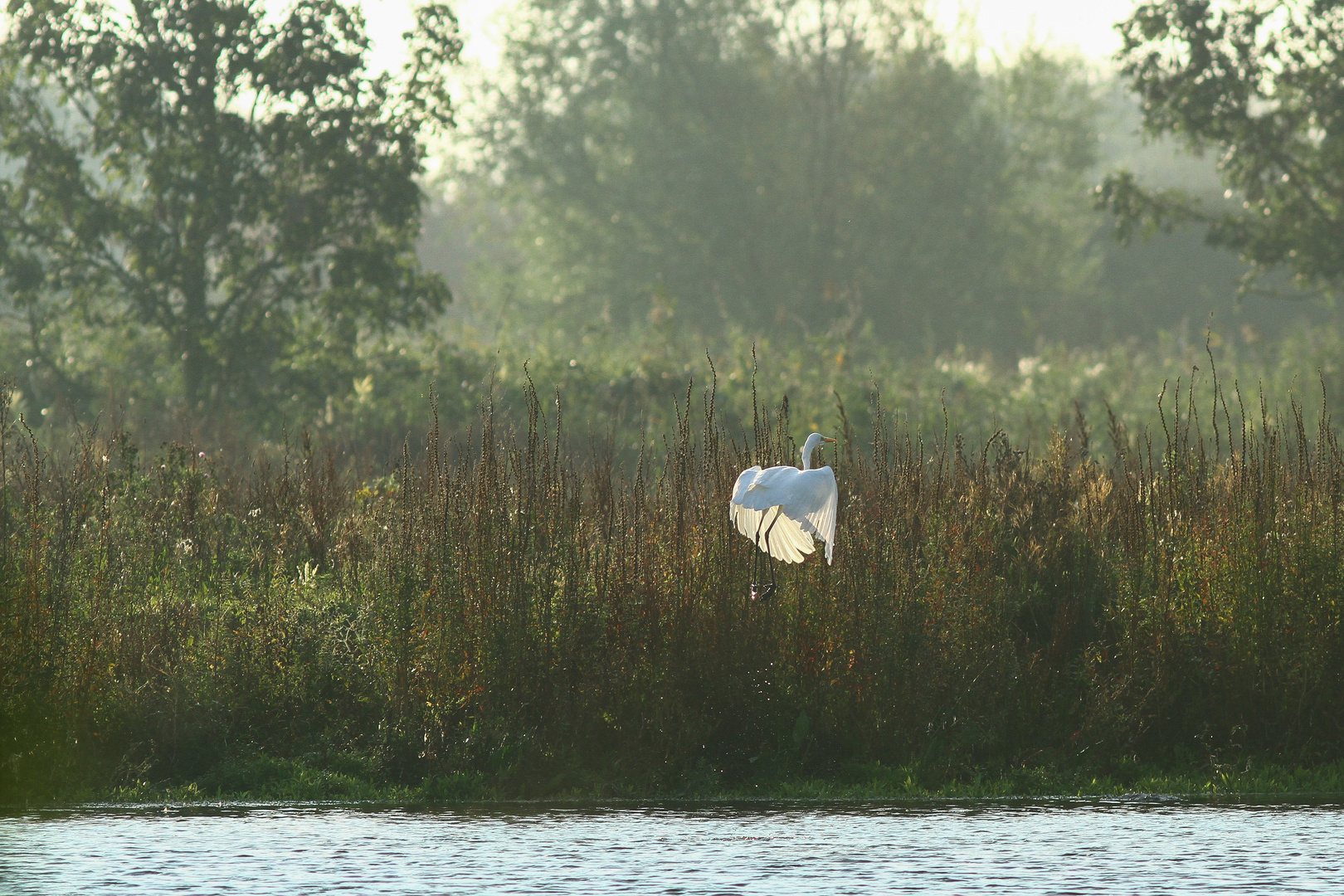 Flucht in die Sonne