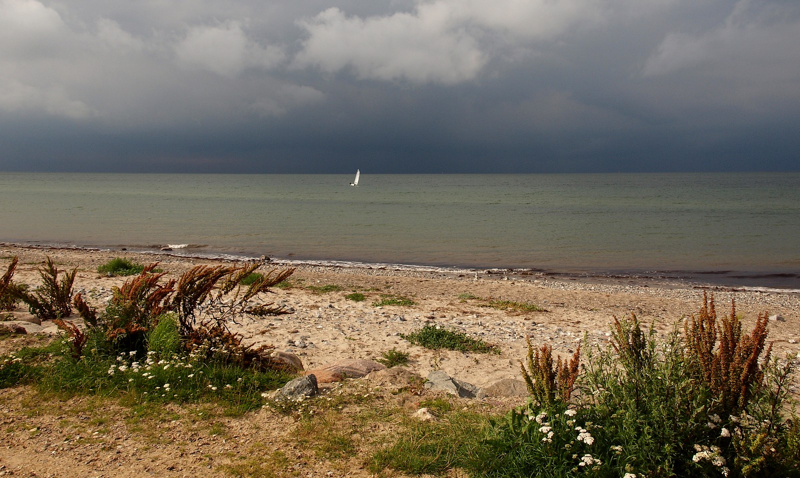 Flucht vor dem Unwetter