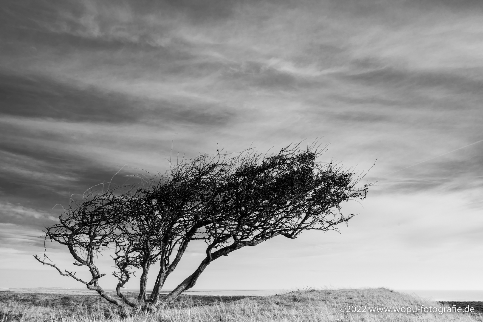 Flucht vor dem Wind