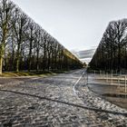 Fluchtlinien / vanishing lines / in Versailles