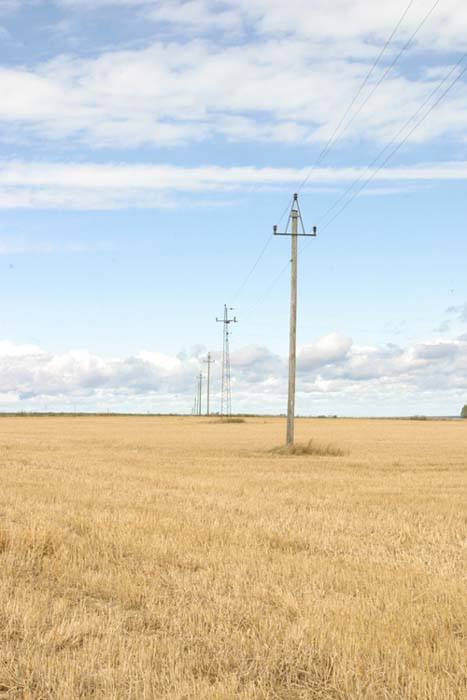 Fluchtpunkt auf einem Feld