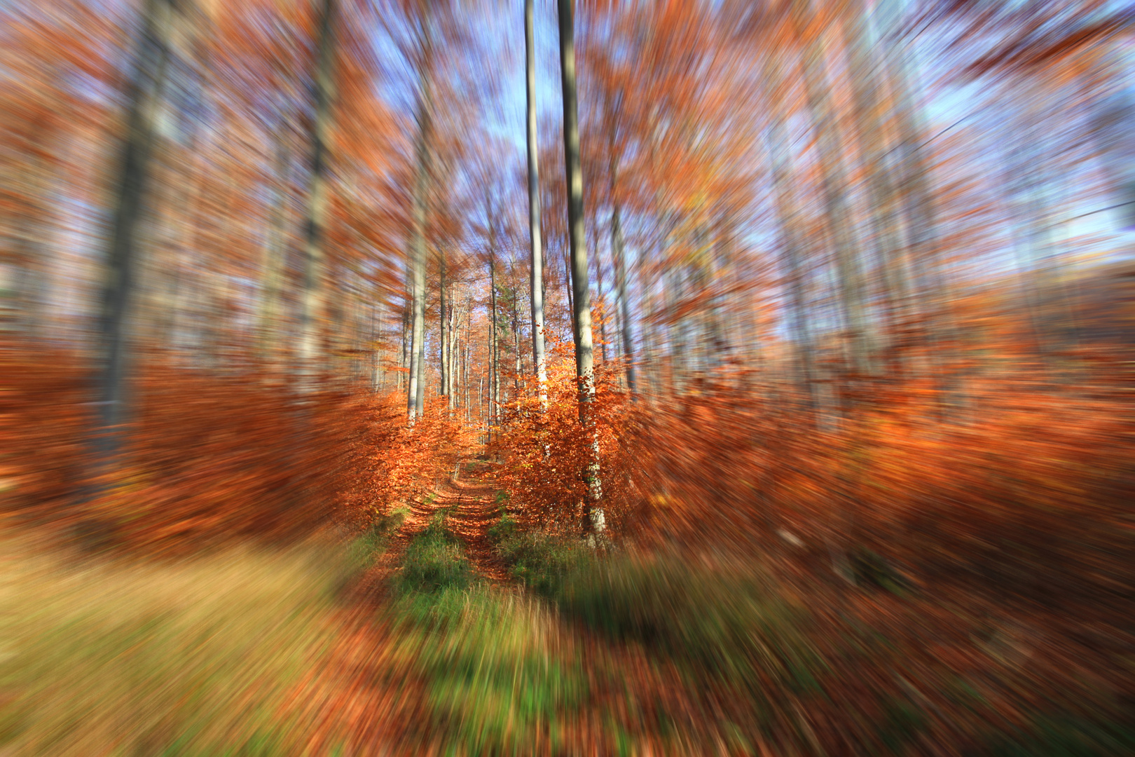 Fluchtweg durch den Herbstwald