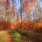 Fluchtweg durch den Herbstwald