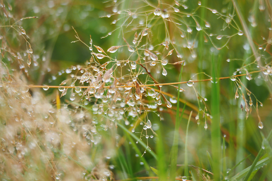 Flüchtige Diamanten