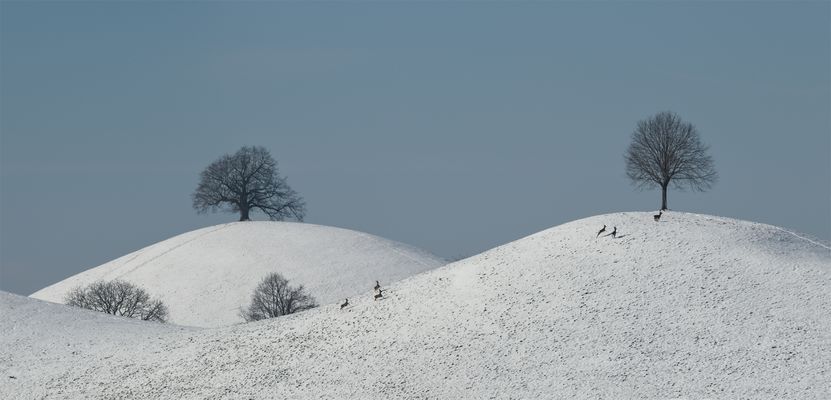 Flüchtige Momente...