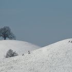 Flüchtige Momente...