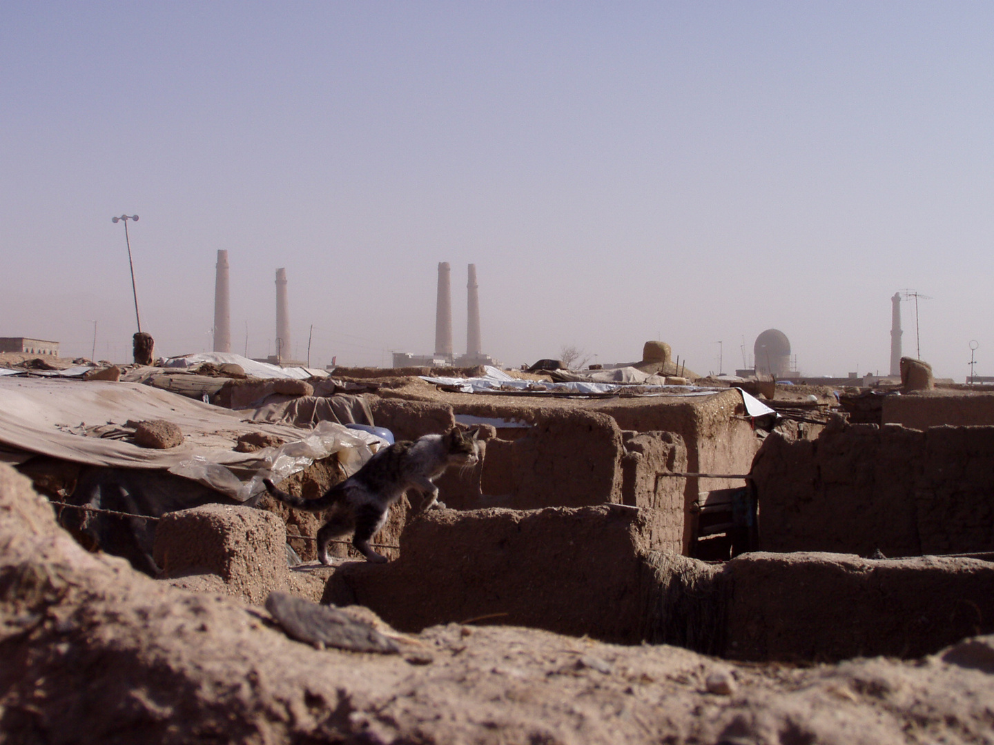 Flüchtlingssiedlung am Rande von Herat