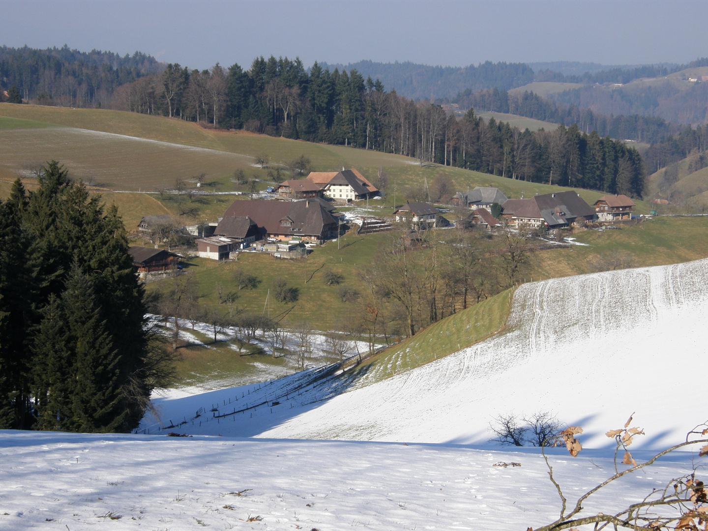 Flückigen