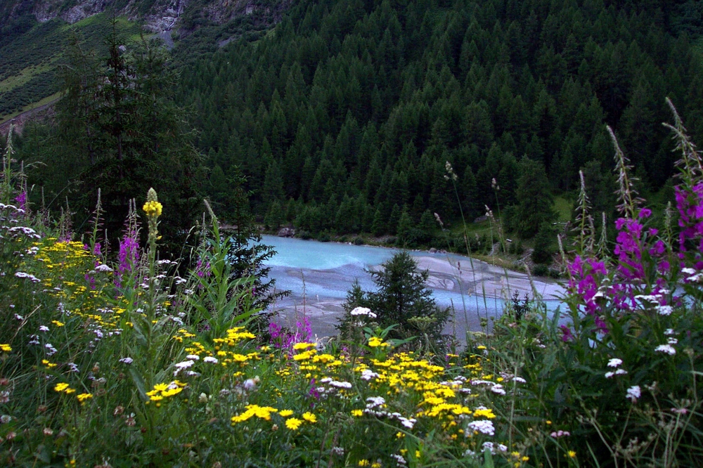 Flüela Pass Gebiet