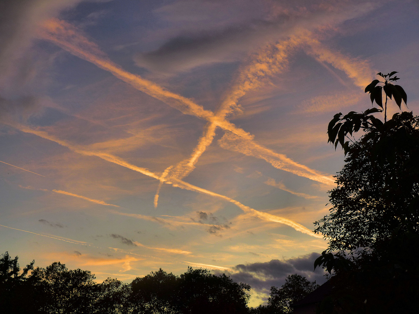 Flüge am Abend