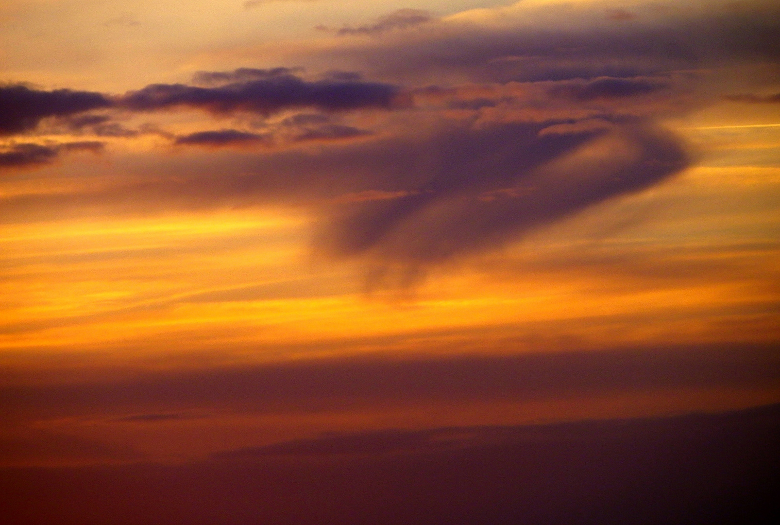 Flügel der Abendröte....