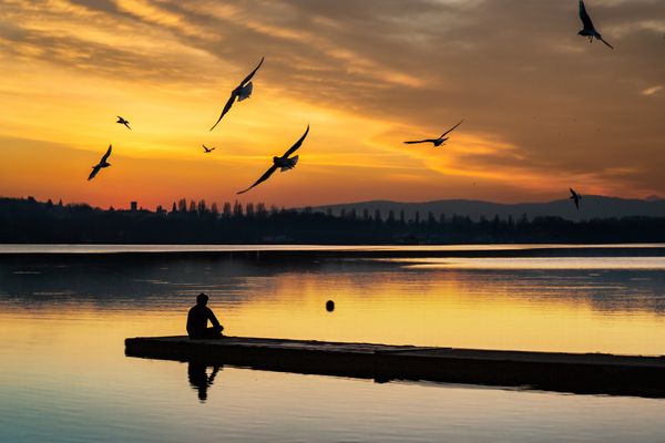 Flügel, die ich fliegen möchte ... - Ali che vogliono volare ...