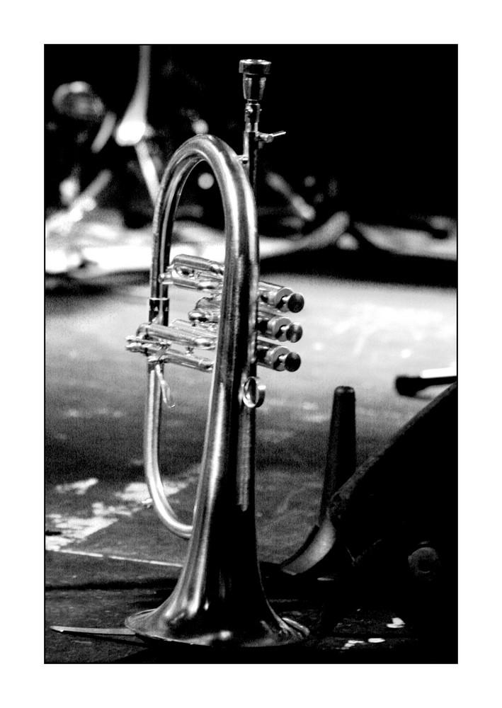 Flügelhorn Foto & Bild kunstfotografie & kultur, musik & konzert