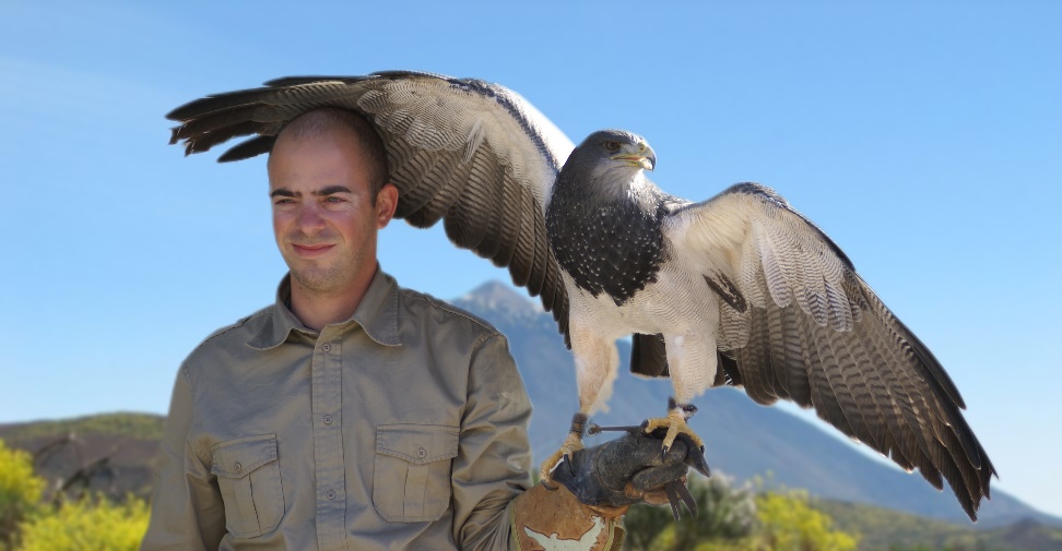 Flügelspannweite - Greifvogelshow - Hintergrund Teide