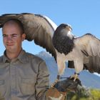 Flügelspannweite - Greifvogelshow - Hintergrund Teide