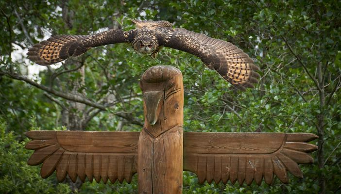 Flügelspannweiten Vergleich ;-)