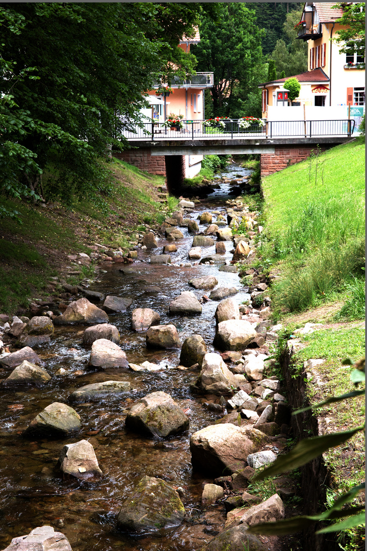 Flüsschen Alb in Bad Herrenalb