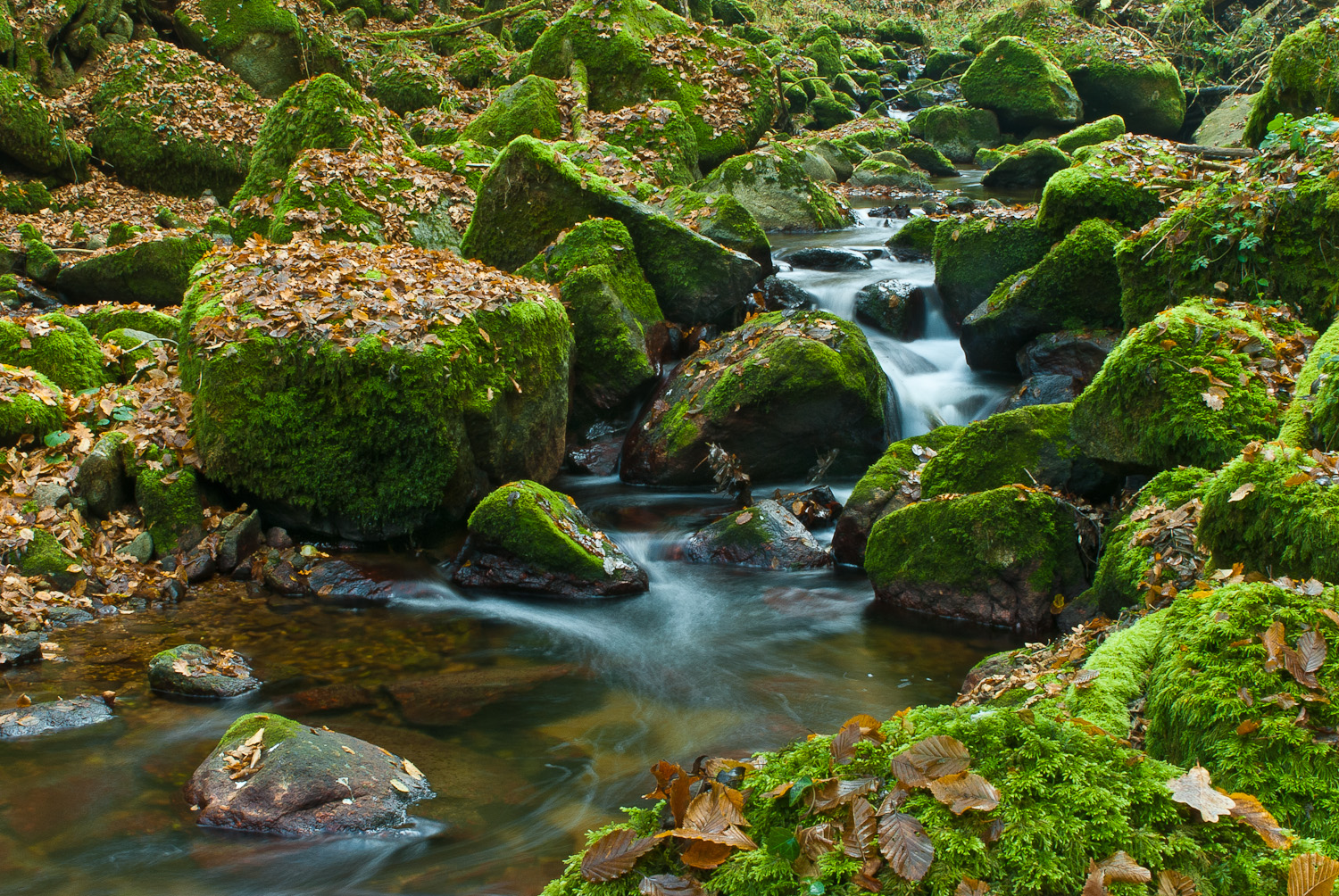 Flüsschen im Schwarzwald, Version 2