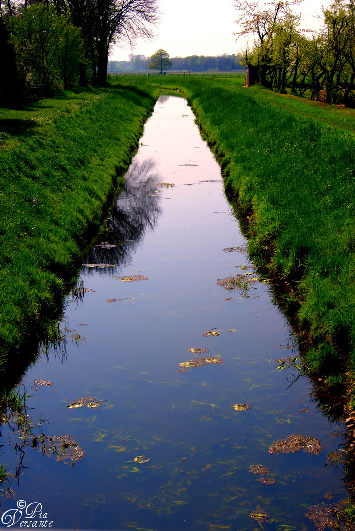 Flüsschen im Sommer