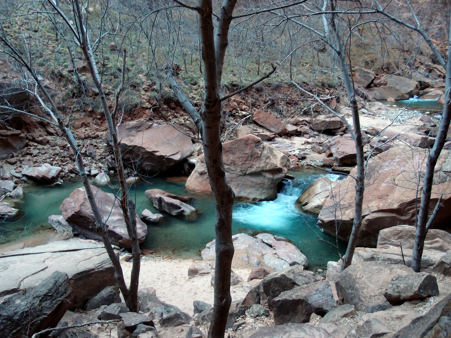 Flüsschen im Zion Nationalpark