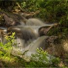 Flüßchen Romke im Harz...