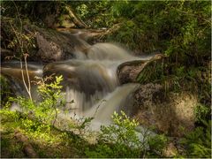 Flüßchen Romke im Harz...