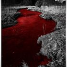 Flüsse aus Blut