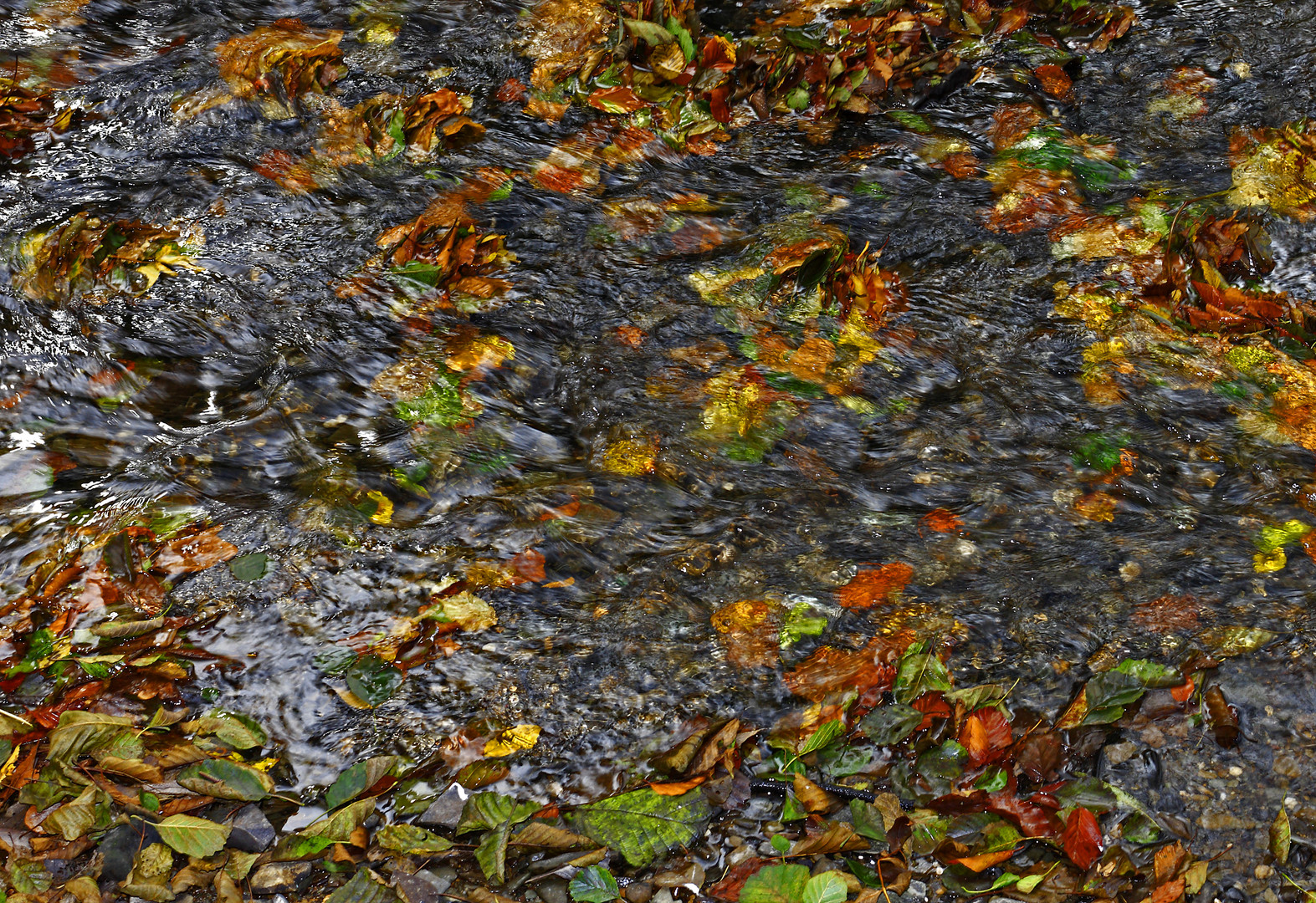 flüssiger Herbst