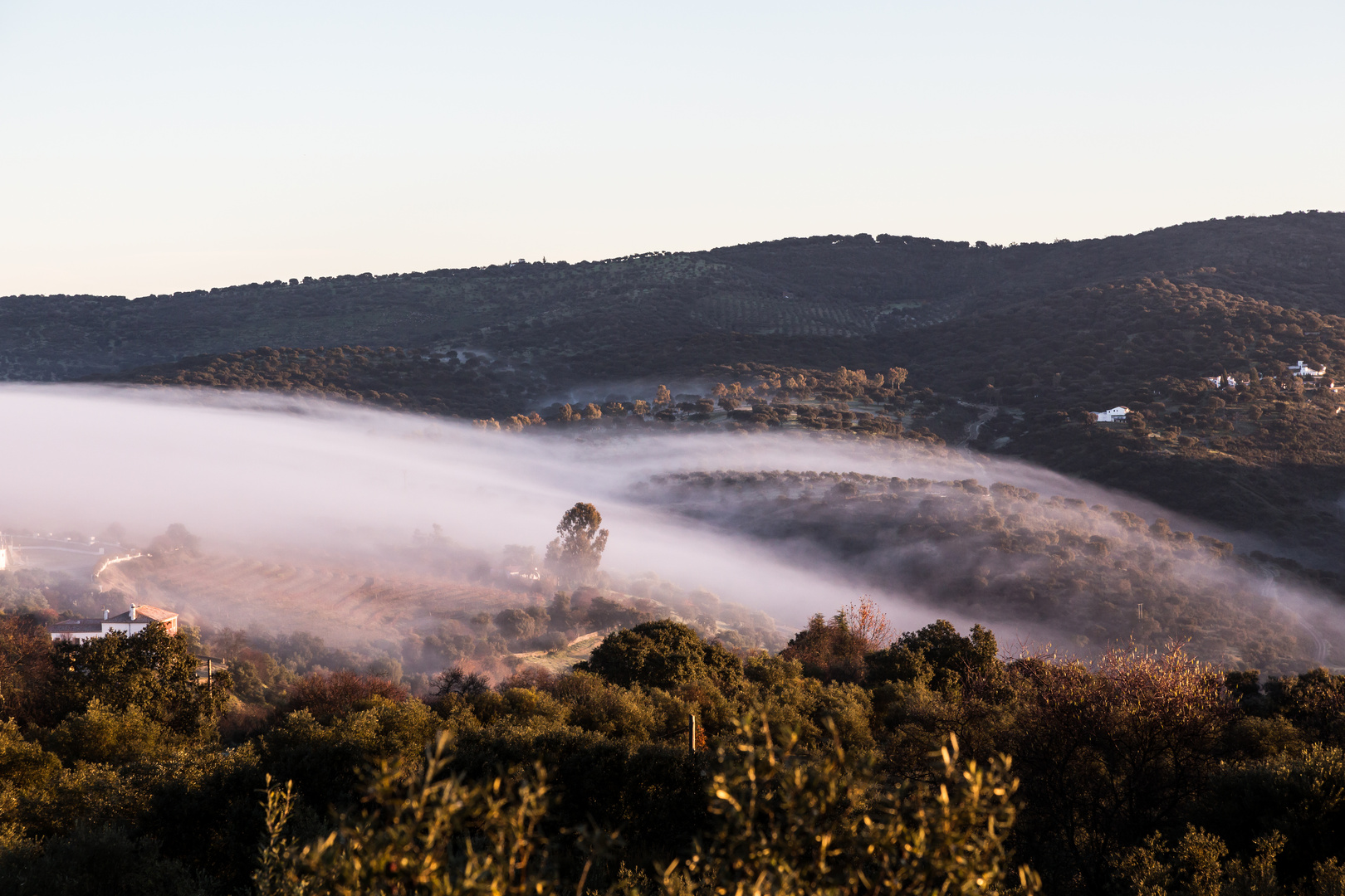 Flüssiger Nebel in der Extremadura