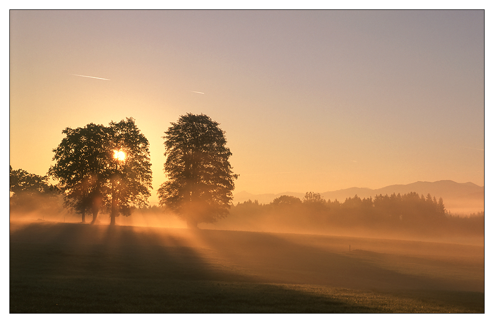 Flüssiges Licht