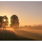 Flüssiges Licht