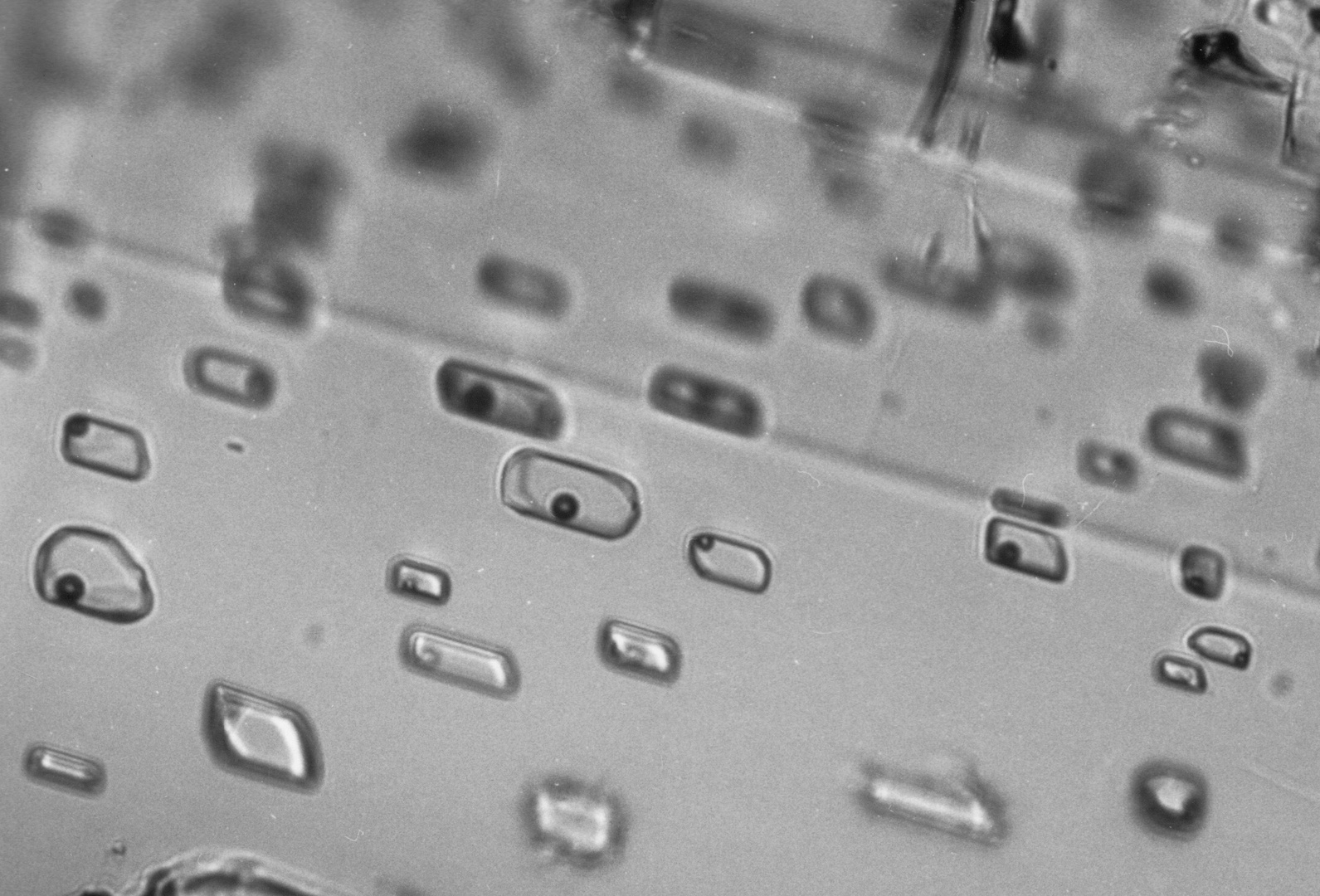 Flüssigkeitseinschlüsse in Mineralen - hier in Calcit