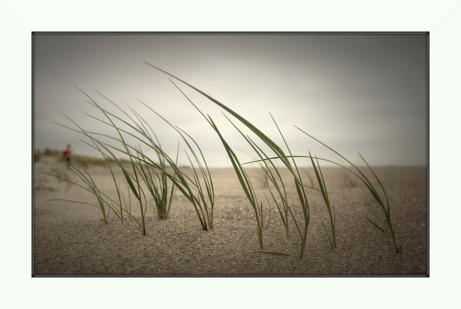 flüsternder Sand