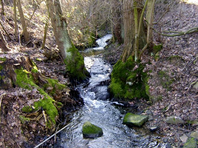 flüsterndes Wasser