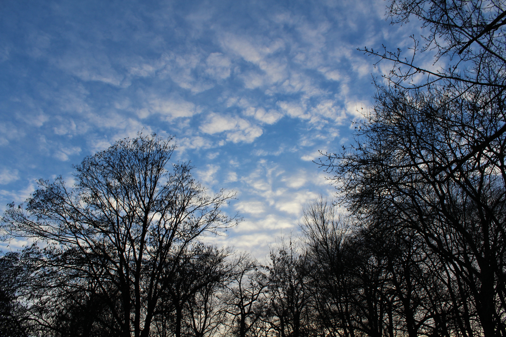 fluffy sky