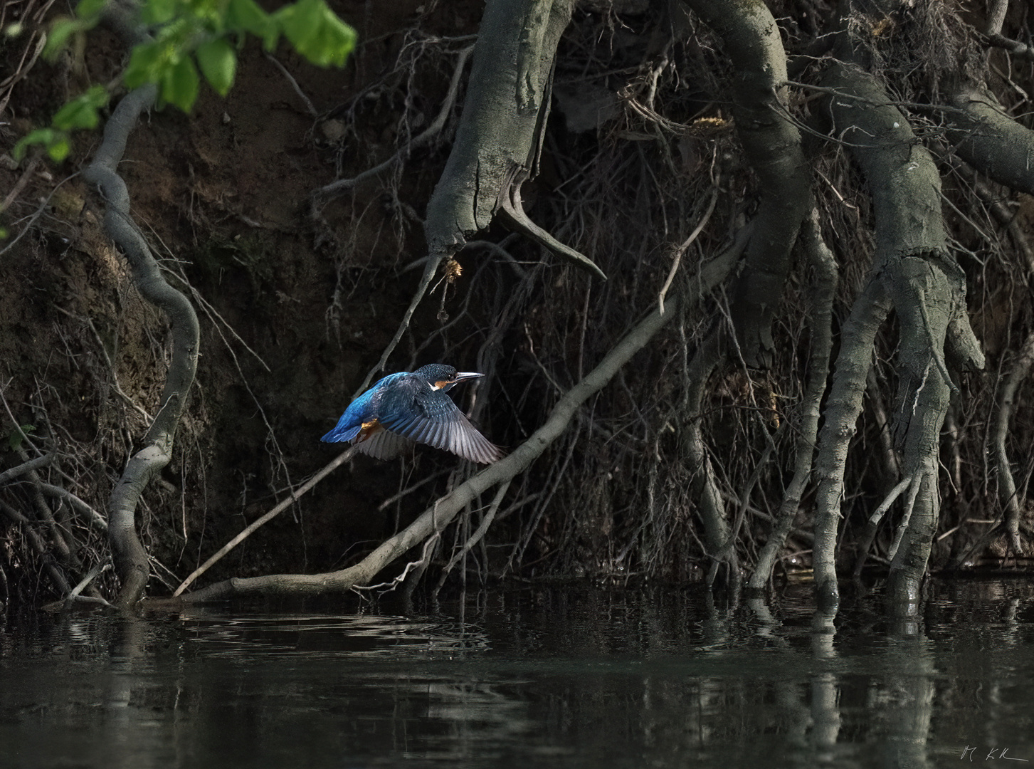 Flug am Amazonas