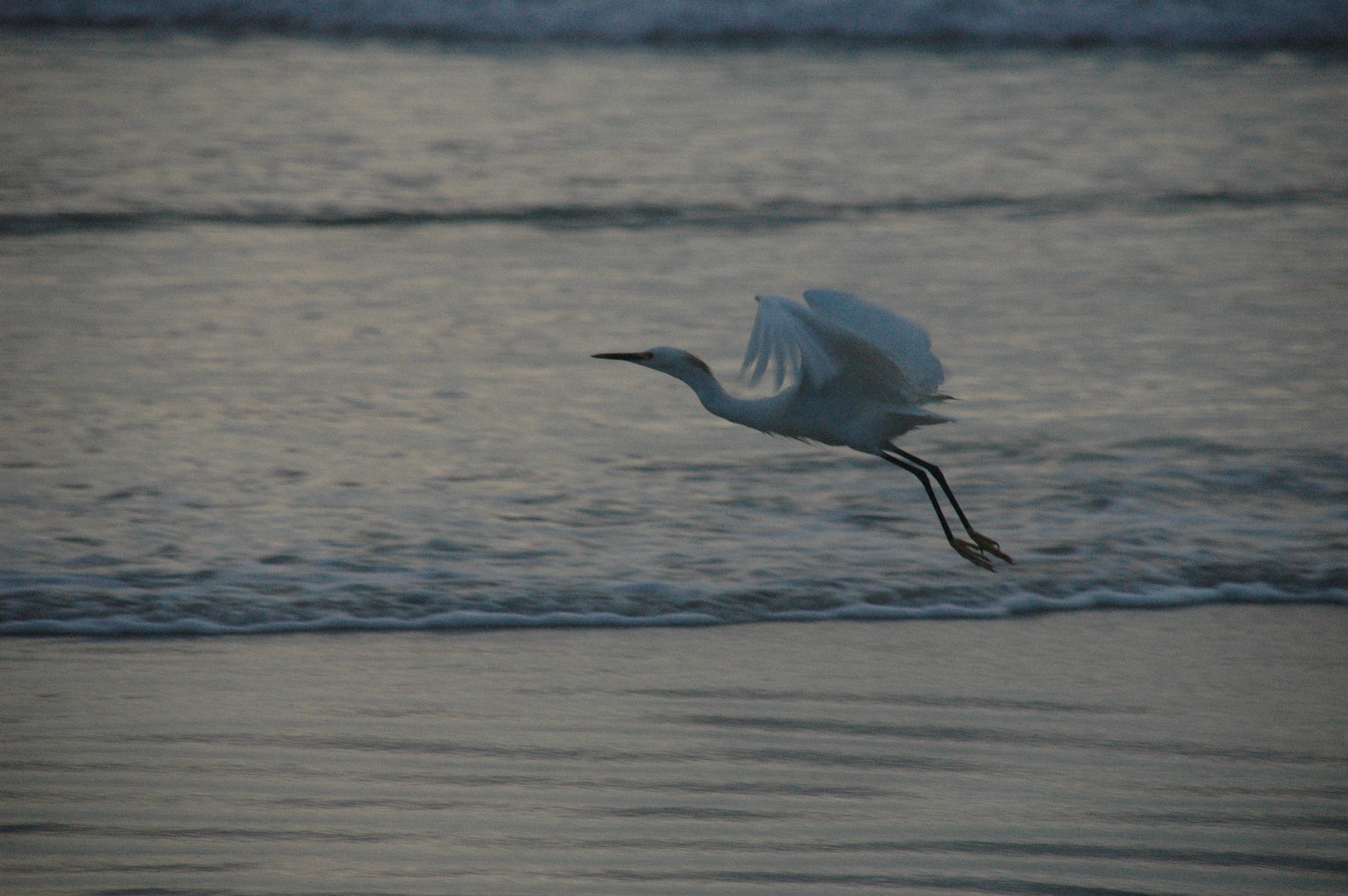 Flug am Meer