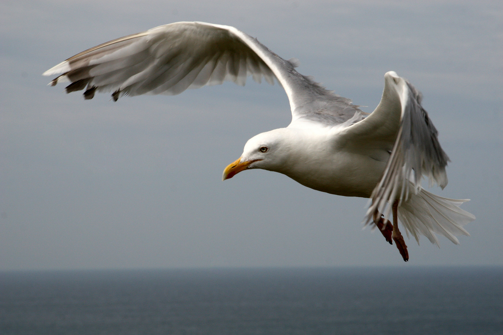 Flug auf Sylt