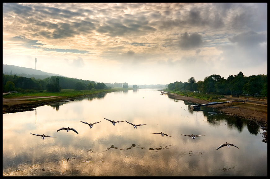 Flug der Gänse