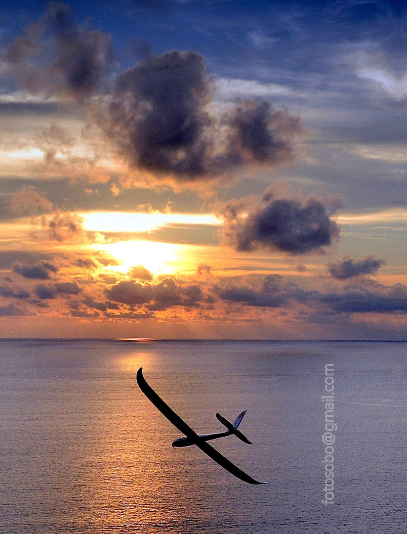 Flug der Sonne entgegen   fotomanny@ok.de