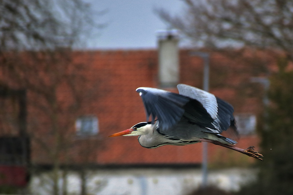 Flug durch das Wohngebiet