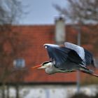 Flug durch das Wohngebiet