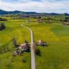 Flug durch den Frühling