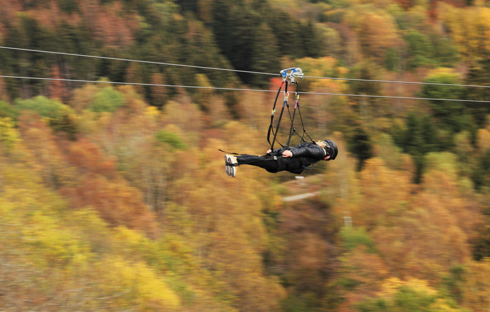 Flug durch den Herbst