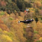 Flug durch den Herbst