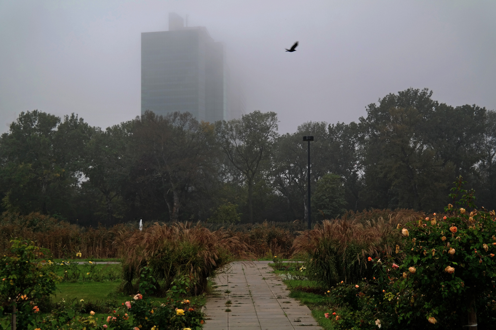 Flug durch den Nebel