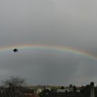 Flug durch den Regenbogen